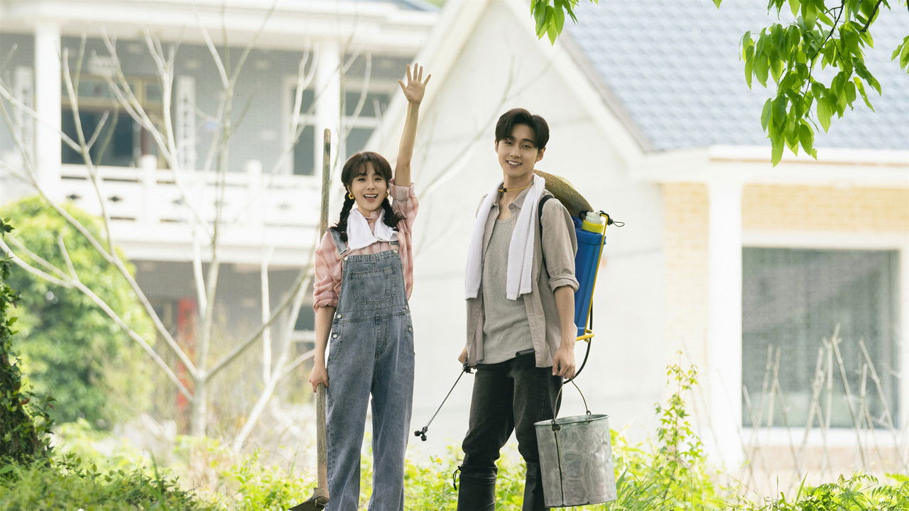 Don’t Disturb Me Farming backdrop