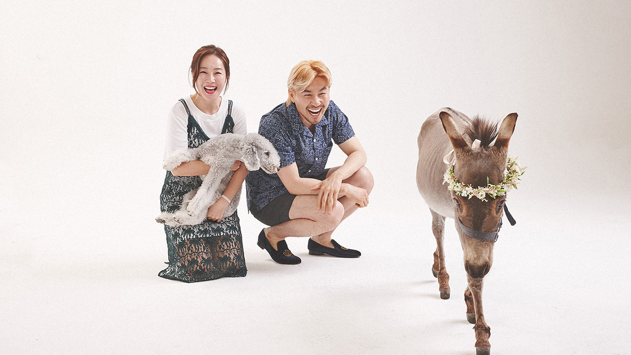 이 집 사람들 backdrop