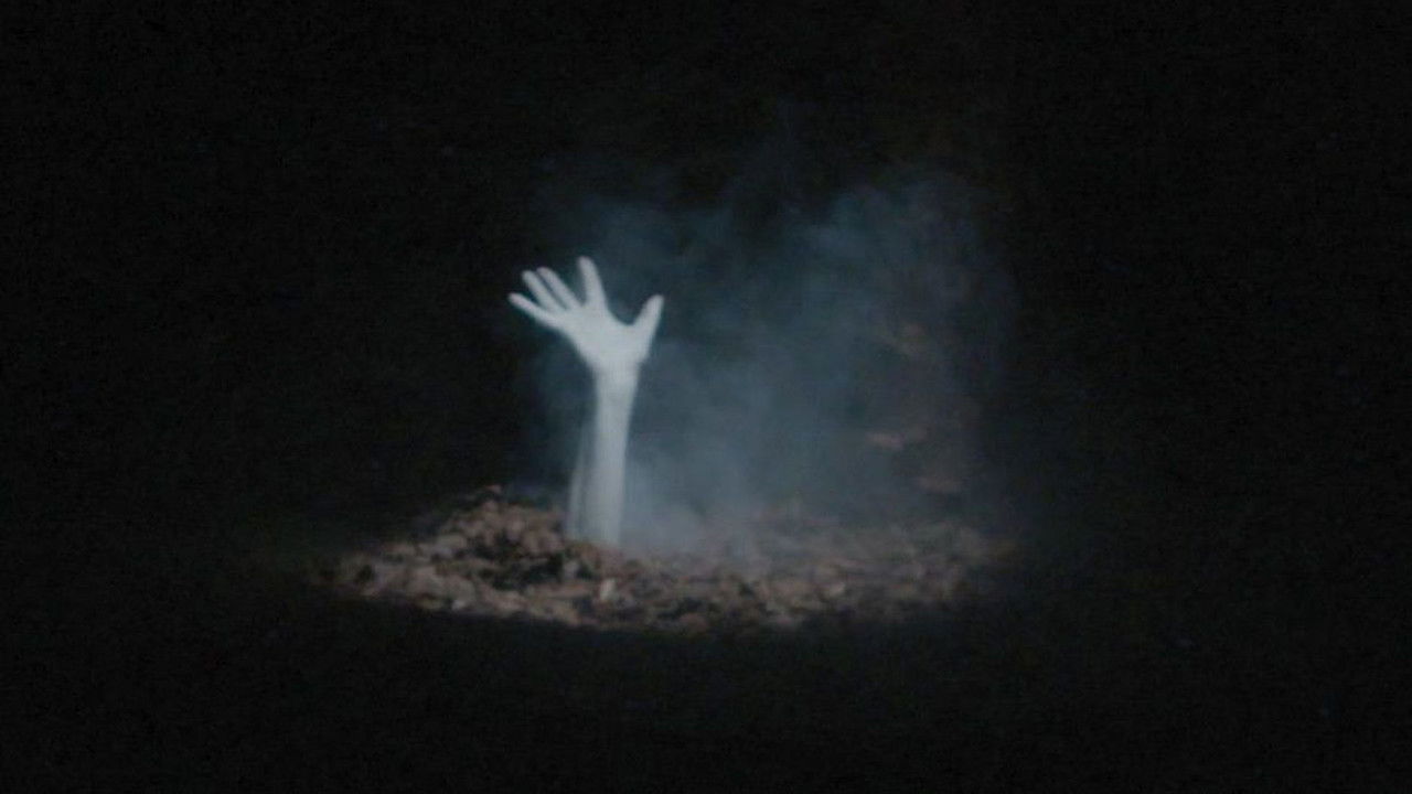 Zombie Land backdrop