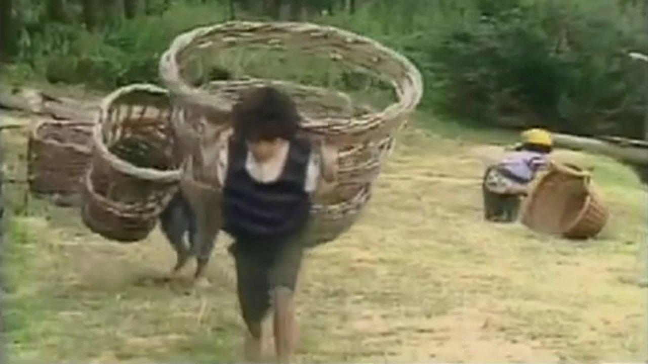 White Gipsy backdrop