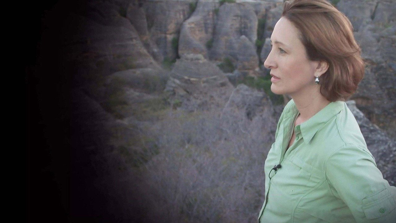 A Jornada da Vida backdrop