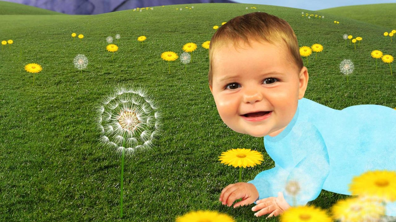 Baby Jake backdrop