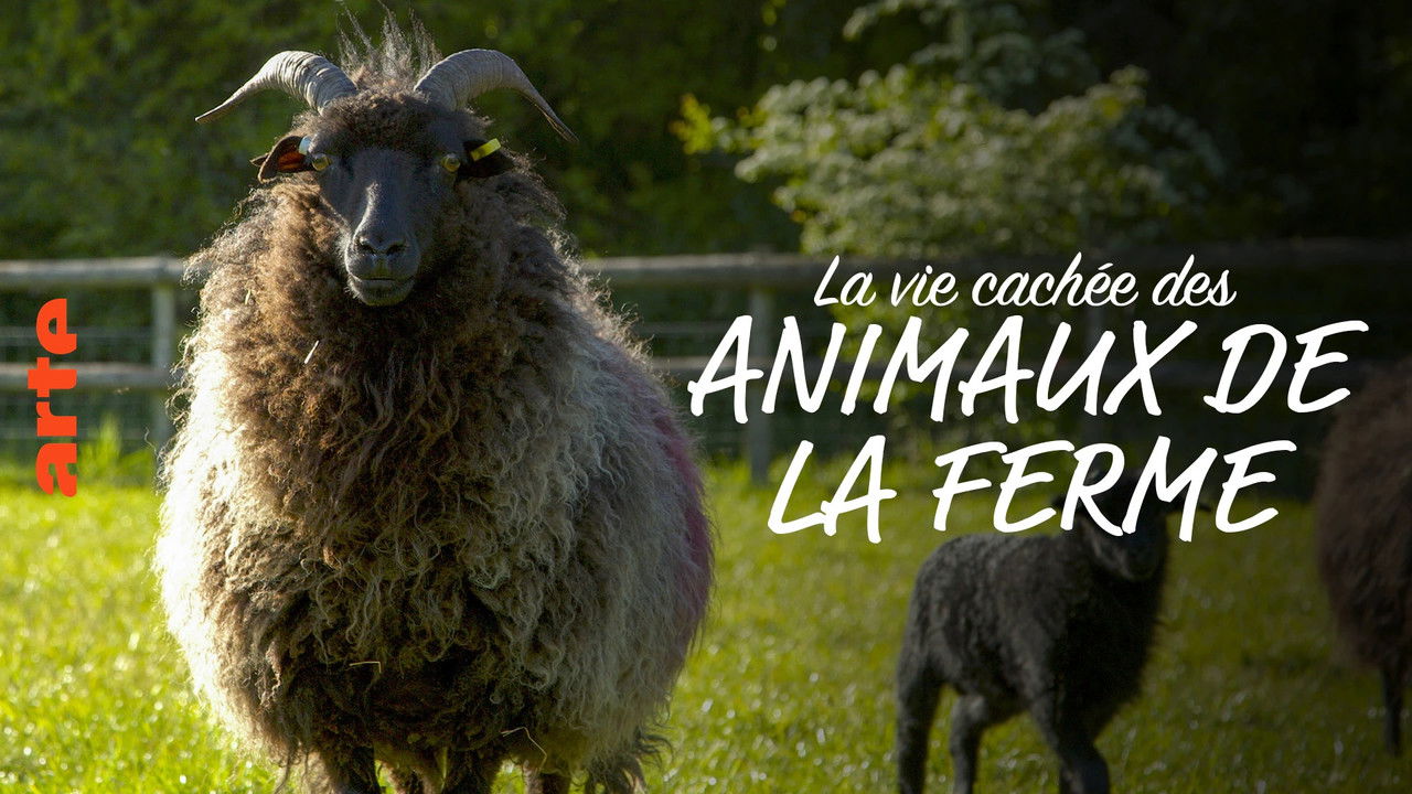 Wild Tales from the Farm backdrop