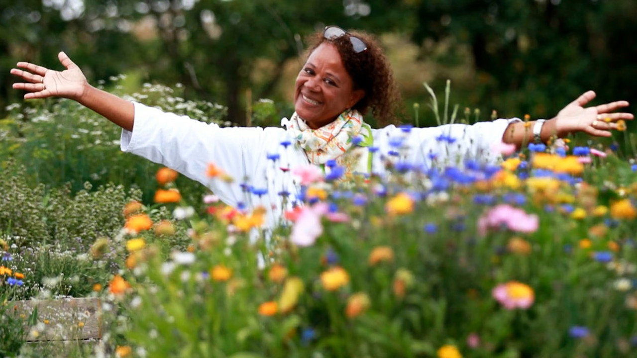 Hellas Have backdrop