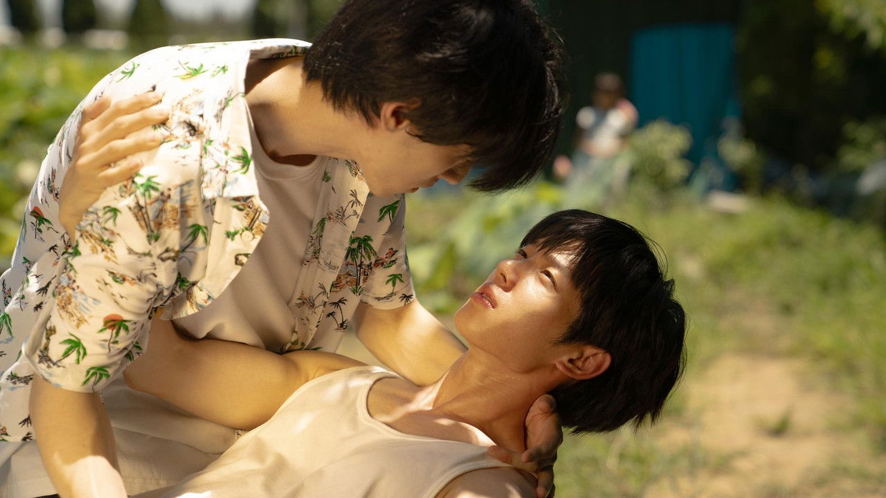 Pink Summer backdrop