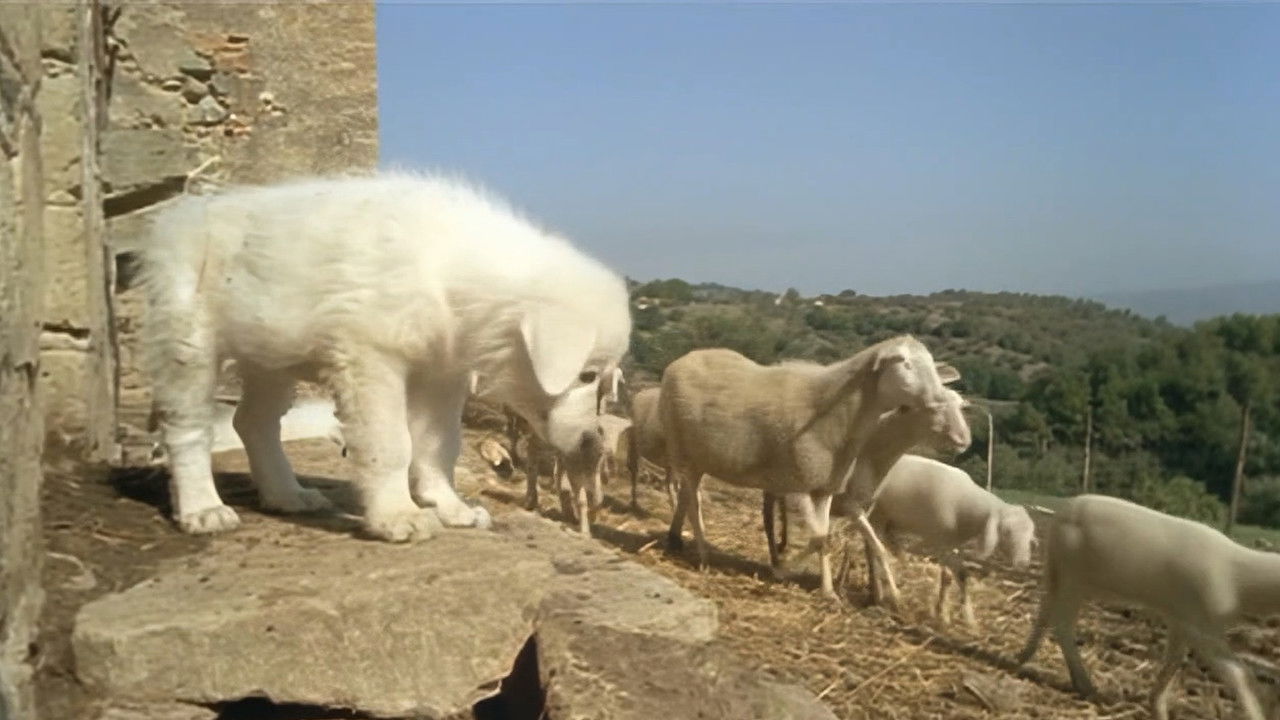 A Dog's Life backdrop