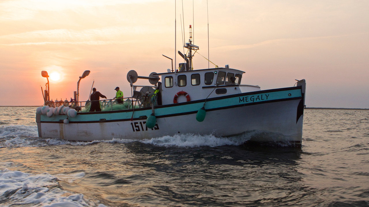 La pêche maudite backdrop