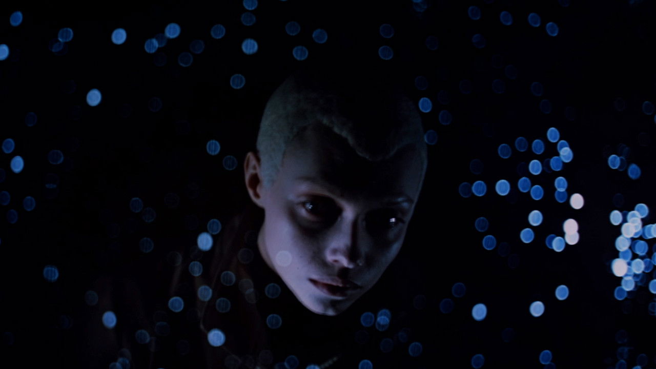 To the Stars by Hard Ways backdrop