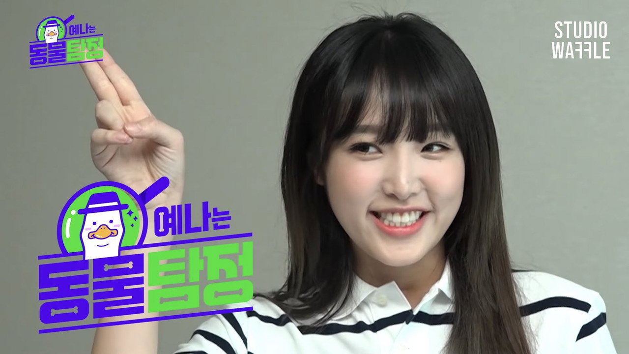 Animal Detective Yena backdrop