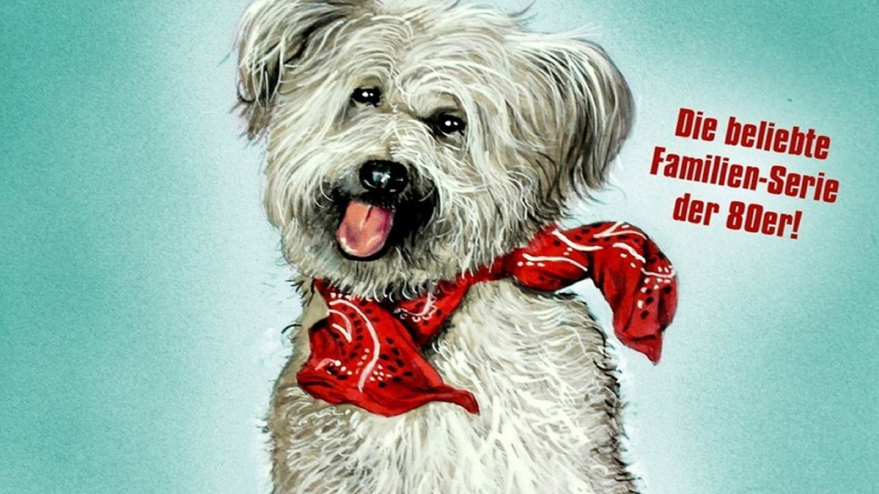 Here's Boomer backdrop