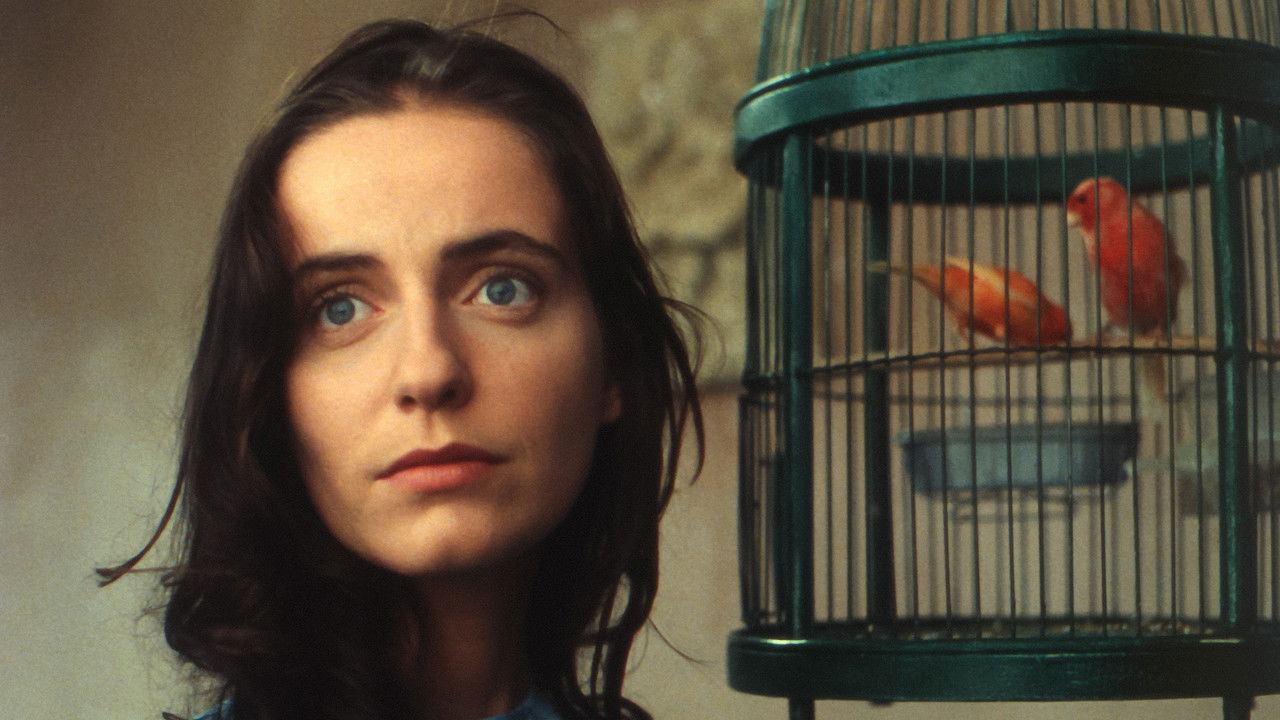 Abraham's Valley backdrop