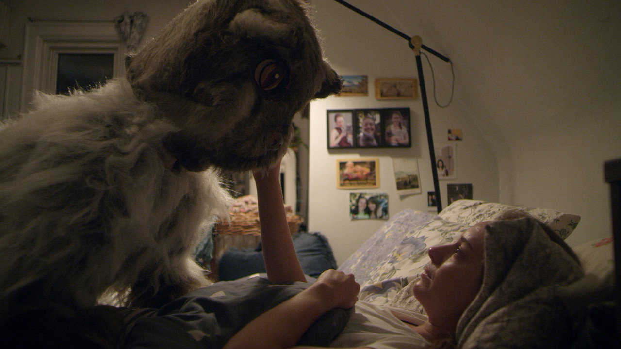 Heavy Petting backdrop