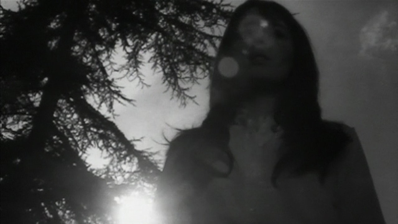 Destroy, She Said backdrop