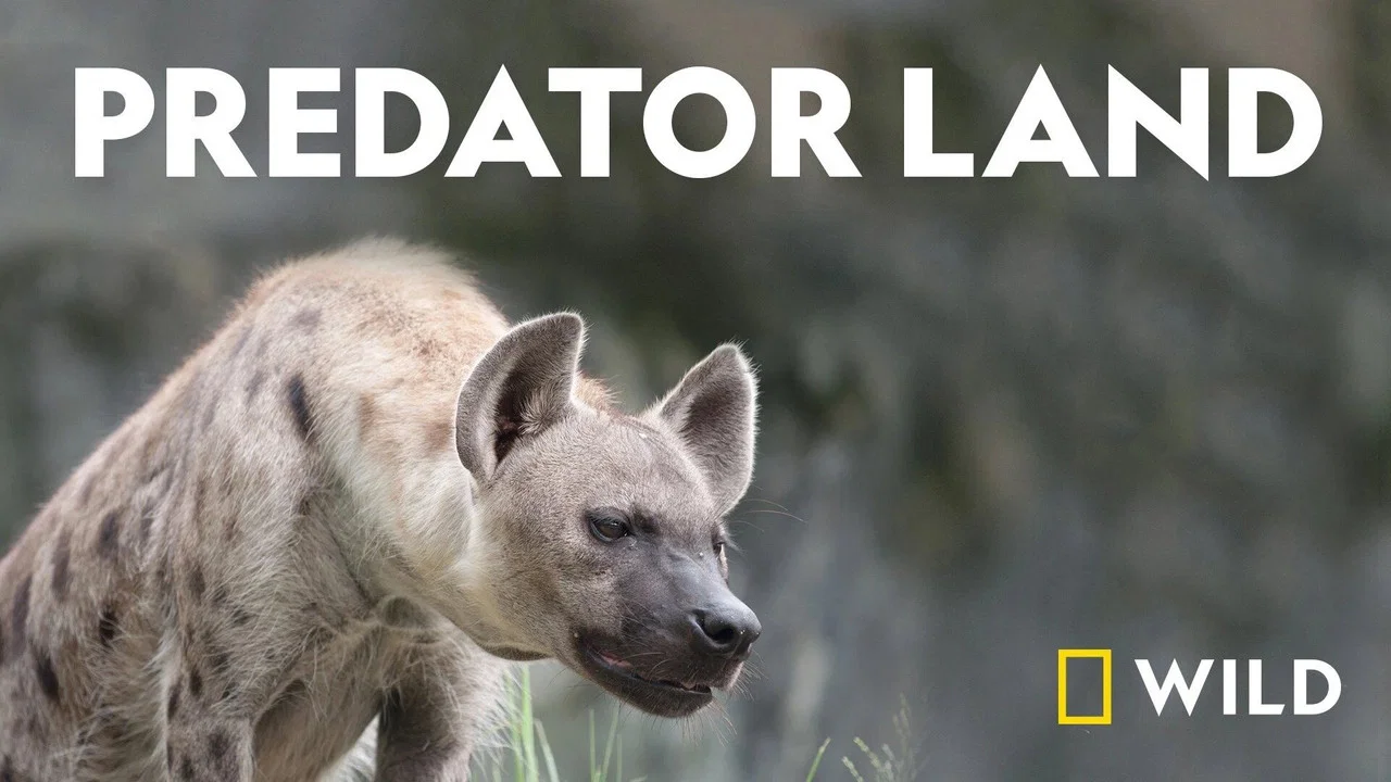 Predator Land backdrop