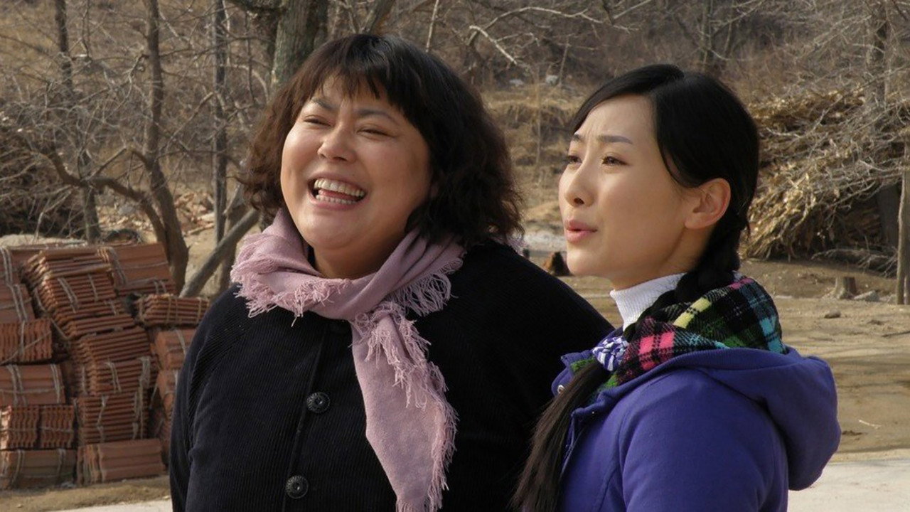 宝乐婶的烦心事 backdrop