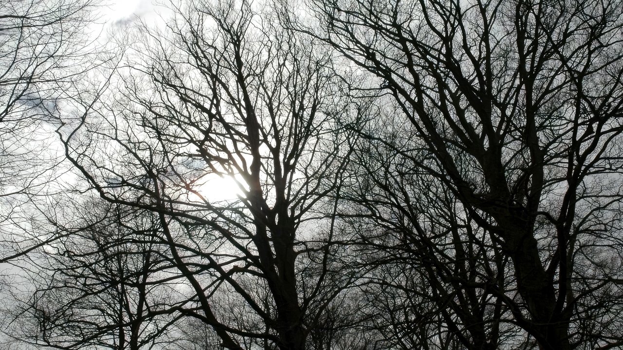 Tales from the Darkside backdrop