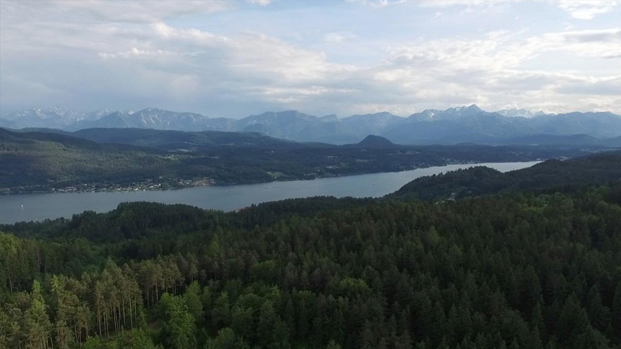 Sie singen nur für ihn backdrop