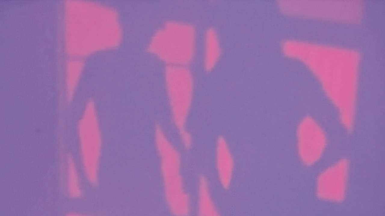 Lucy Robin Bat Kite backdrop