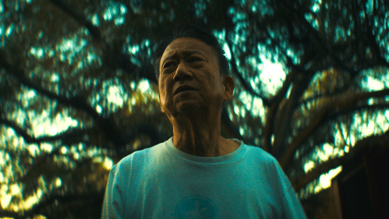 Starring Jerry as Himself backdrop