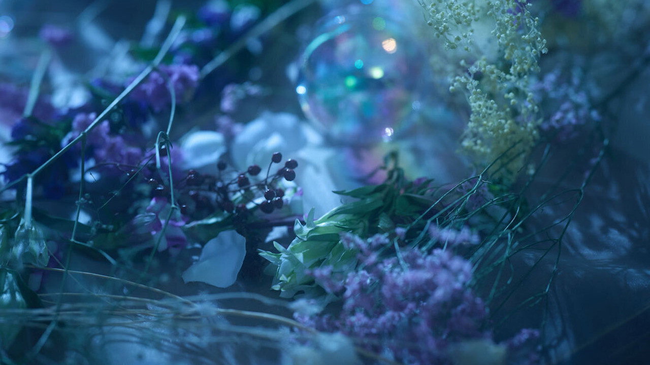 Touken Ranbu: The Musical - Higekiri Solo Performance ～Fleeting Dreams～ backdrop