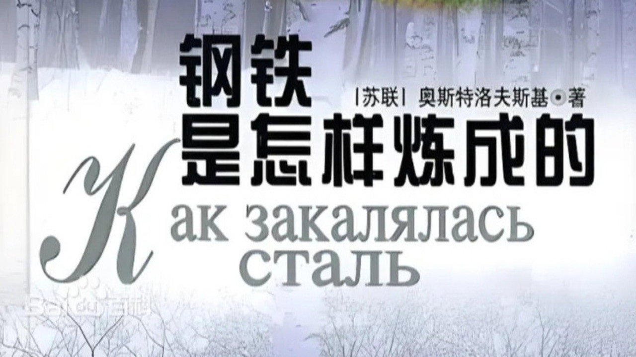 钢铁是怎样练成的 backdrop