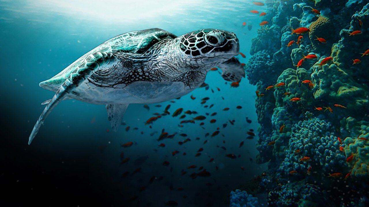 The Great Barrier Reef: A Living Treasure backdrop