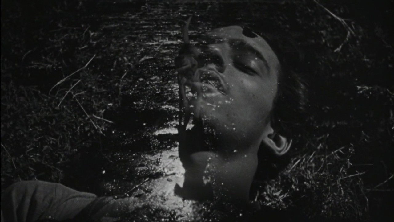 The Young and the Damned backdrop