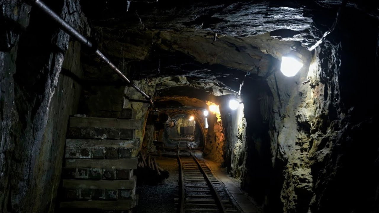 Černé zlato backdrop