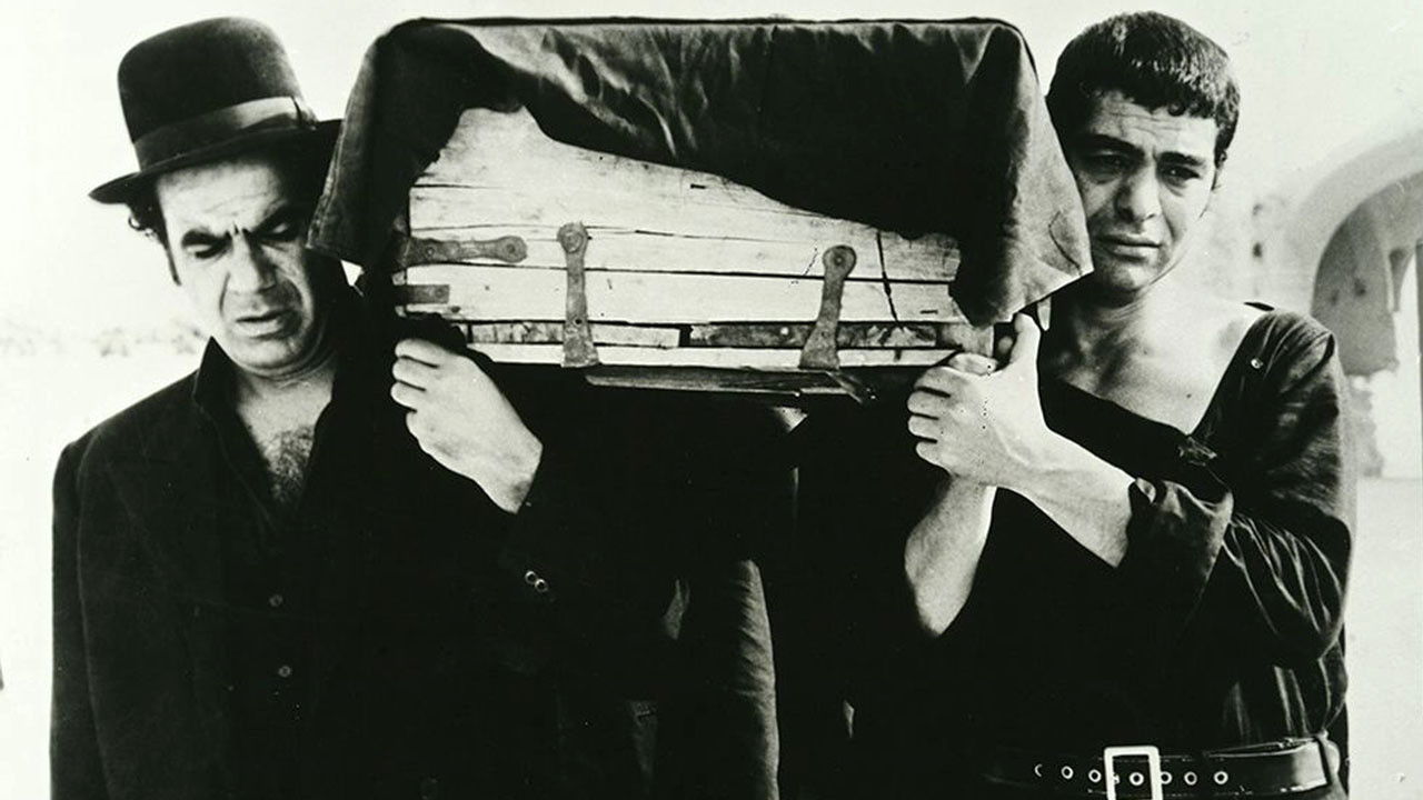 The ring-necked dove backdrop