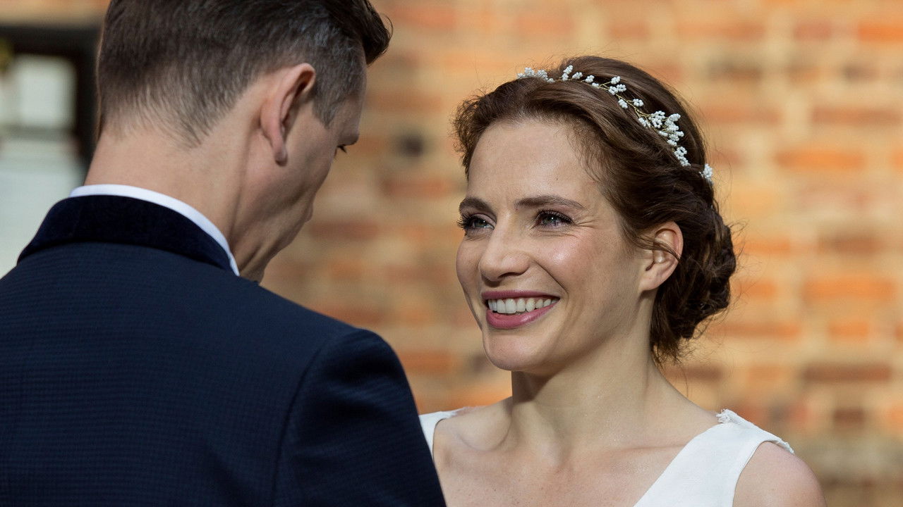 Tips for Cheating backdrop