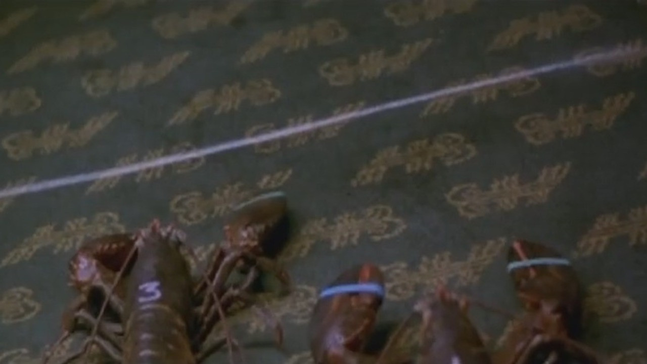 The Sea Change backdrop