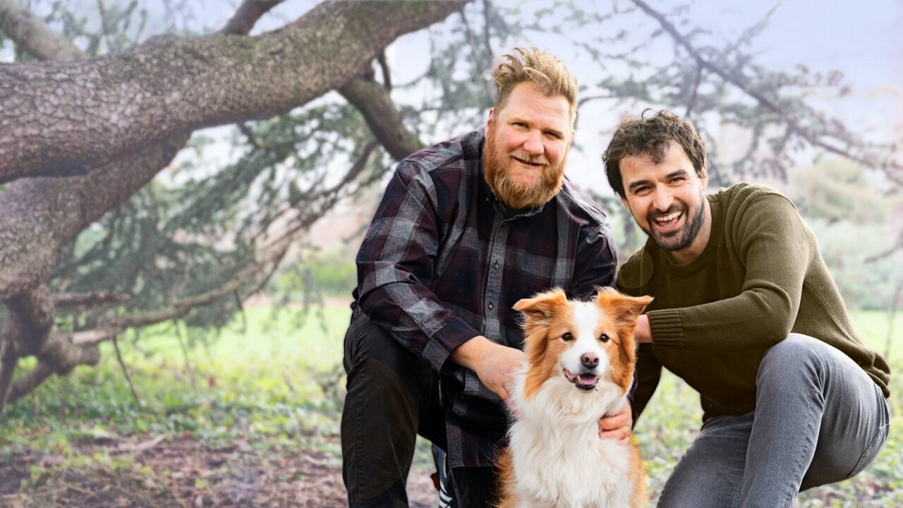 Viervoeters backdrop