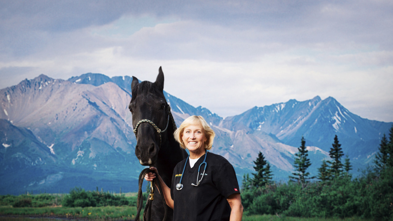Dr. Dee: Alaska Vet backdrop