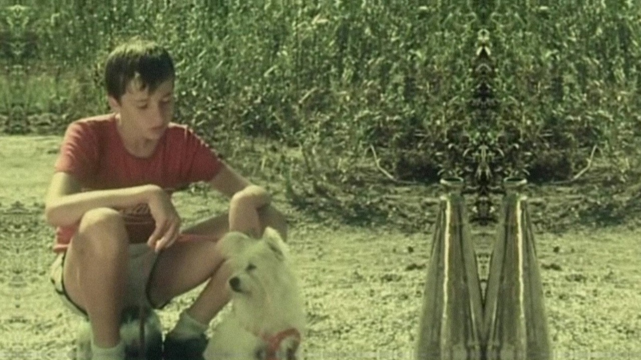 The Ivory Aigrette backdrop