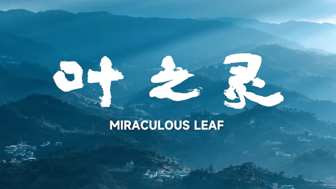 Miraculous Leaf backdrop