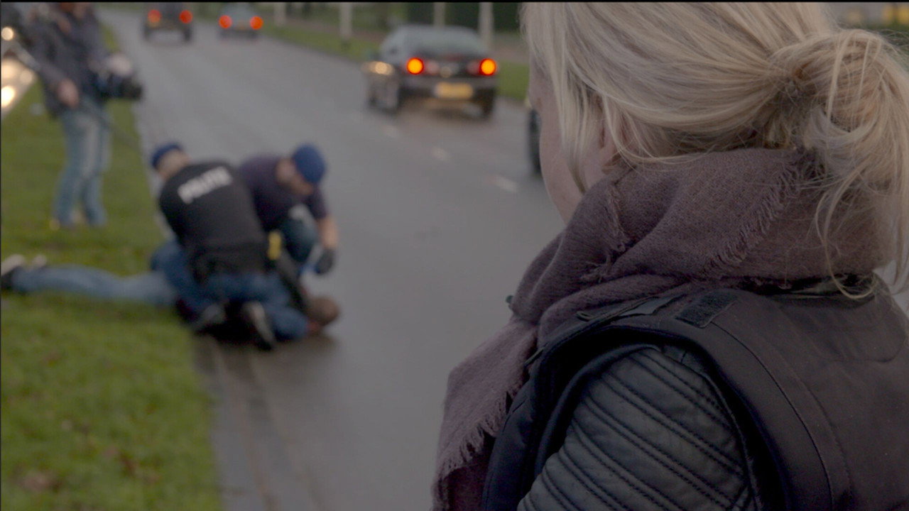 Off the Radar backdrop