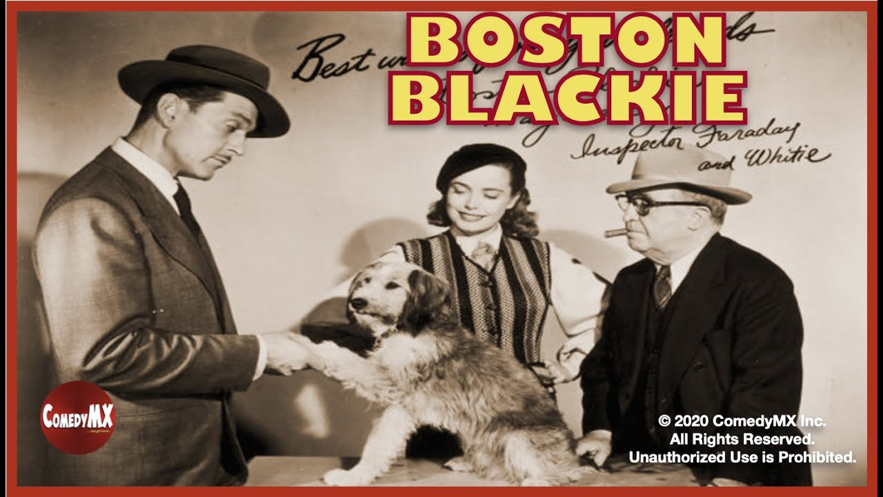 Boston Blackie backdrop