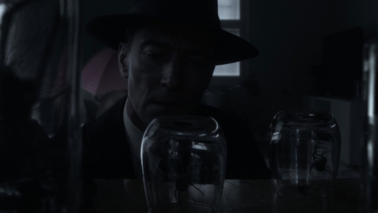 Arachnobody backdrop