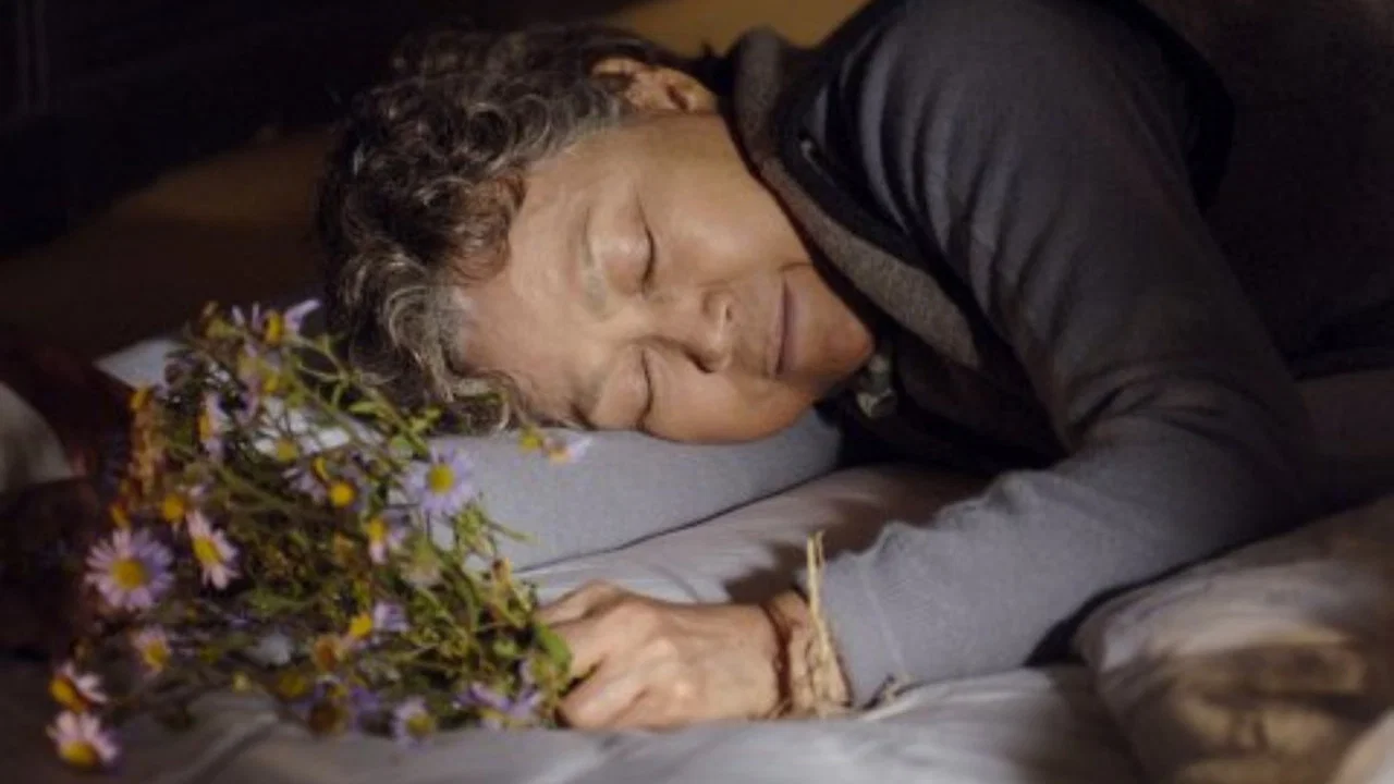 쑥부쟁이 backdrop