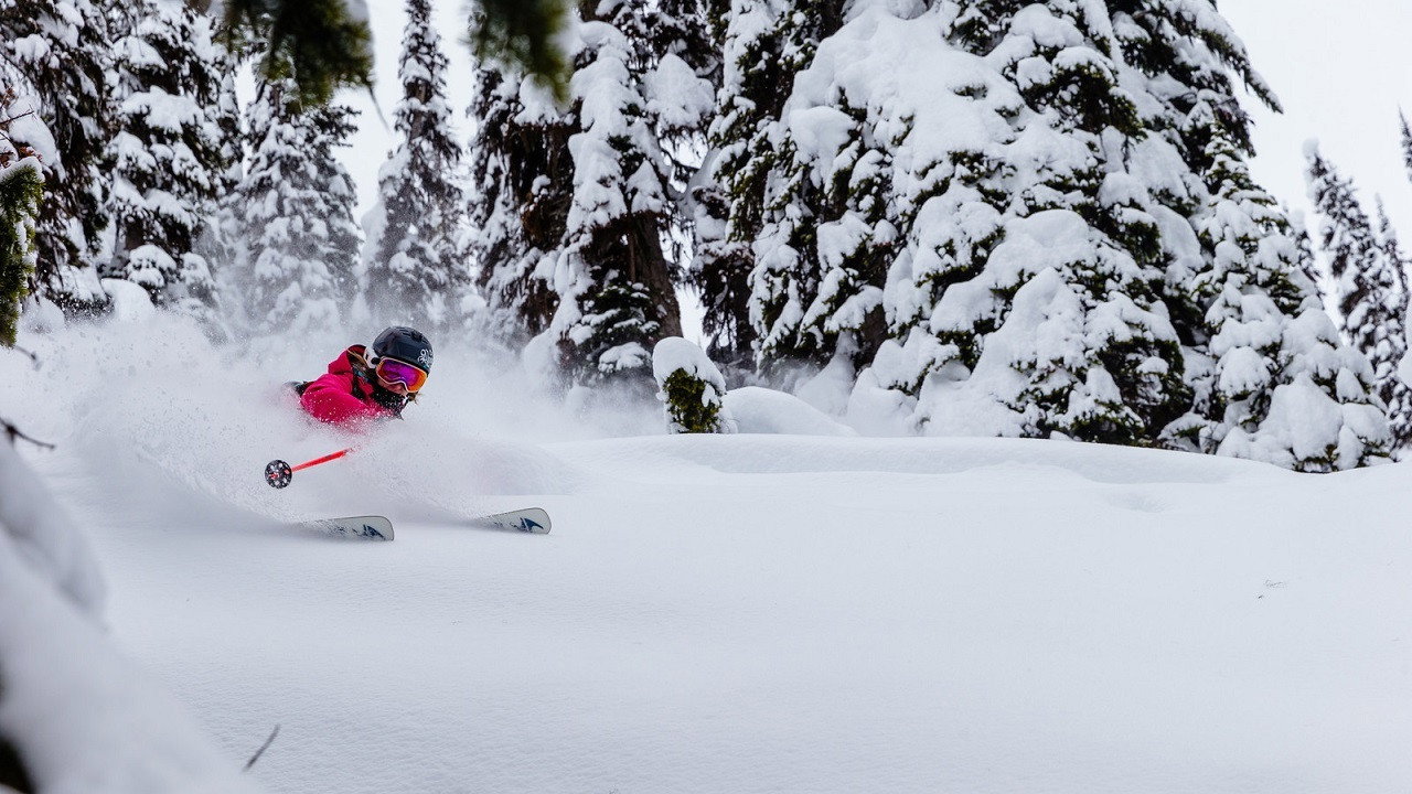 Rogue Elements backdrop