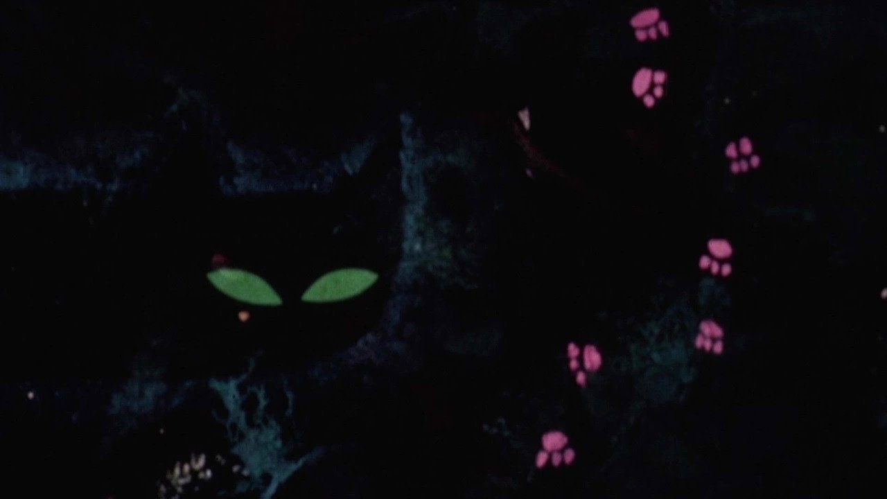 Cat and Mouse backdrop