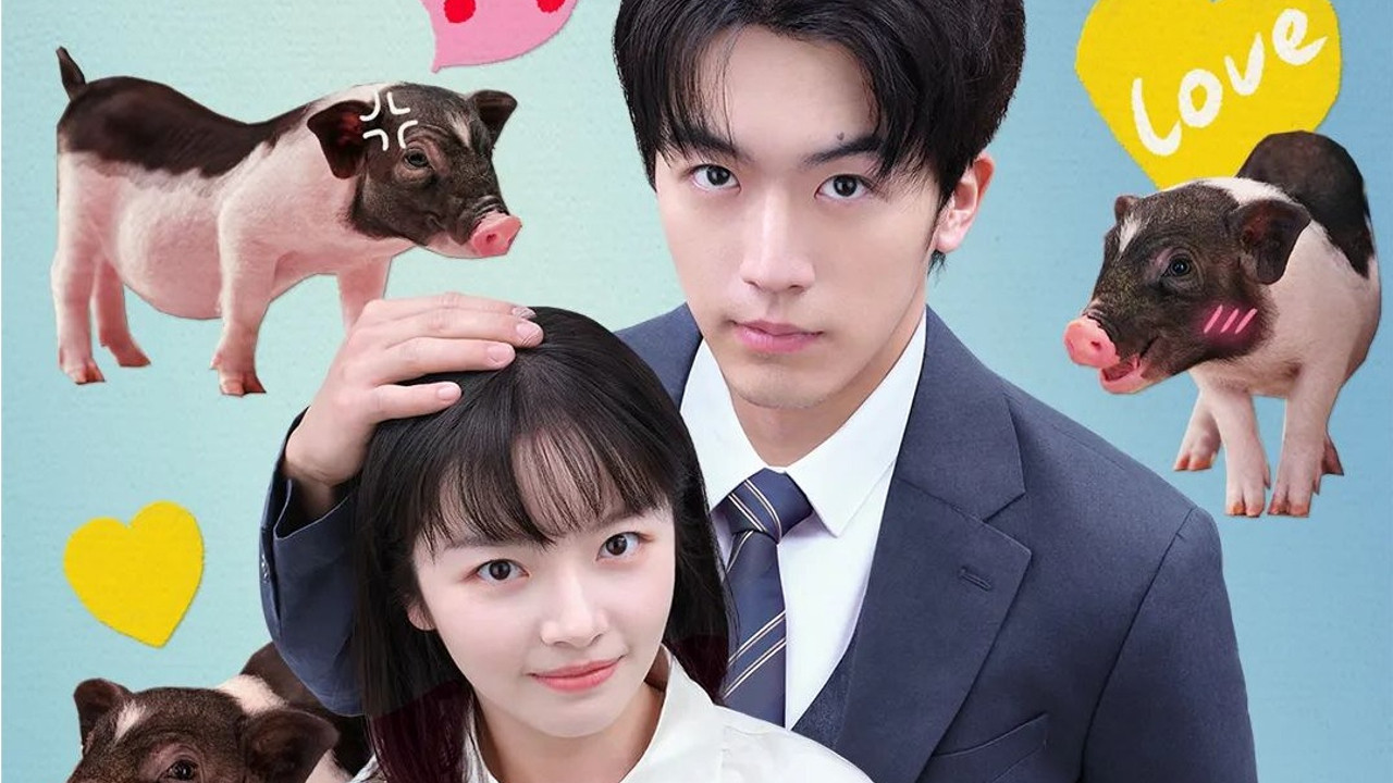 My Piggy Boss backdrop