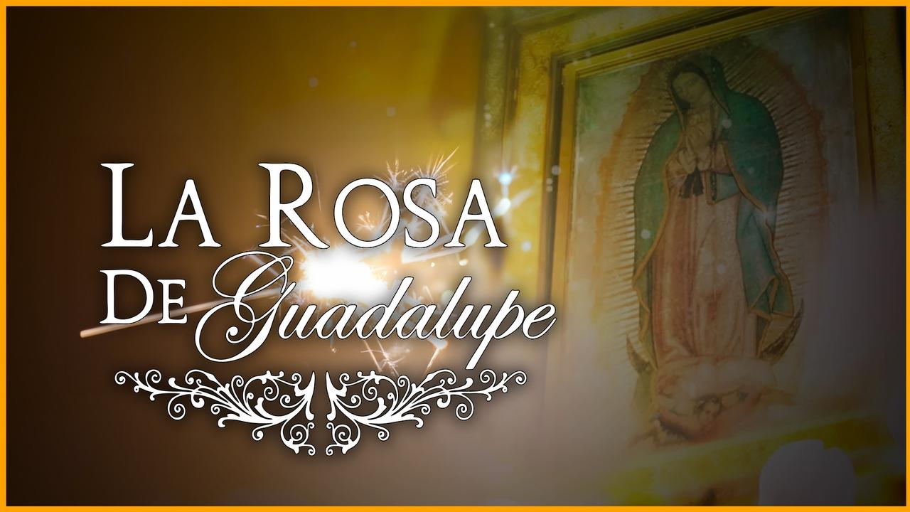 La rosa de Guadalupe backdrop