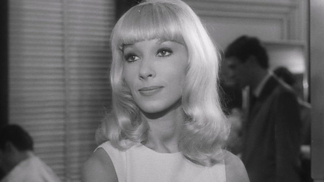 Me and the Forty Year Old Man backdrop