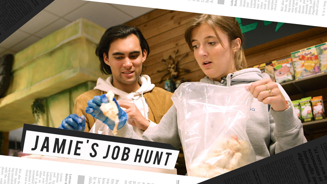 Jamie's Job Hunt backdrop