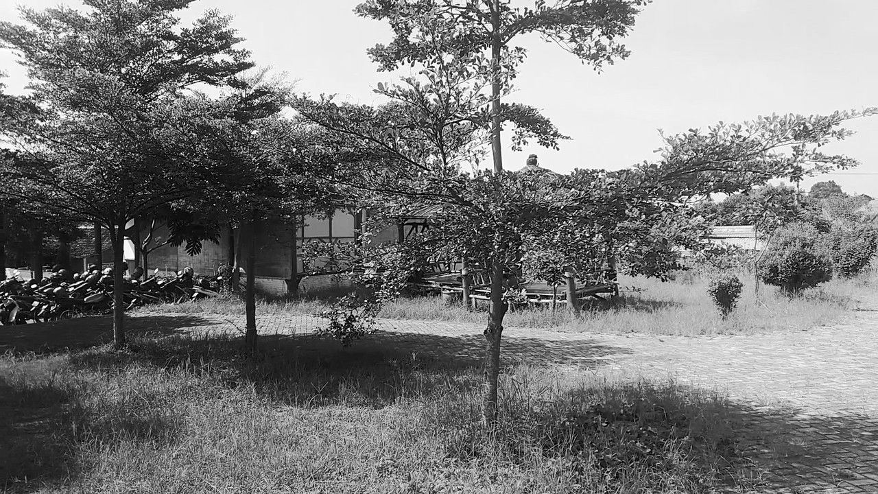 A Boundless Nature backdrop