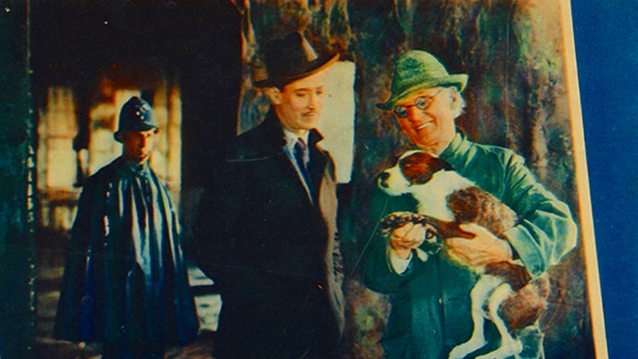 Romance of a Rogue backdrop