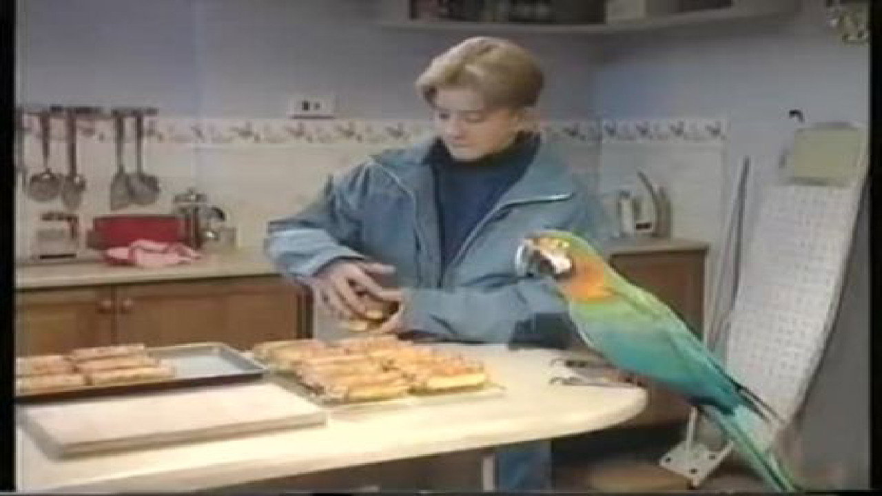 Harry's Mad backdrop