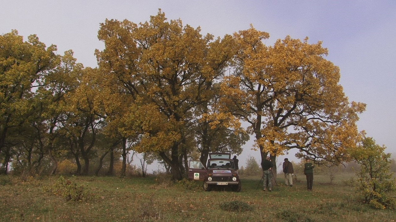 Přežili rok 2000 backdrop