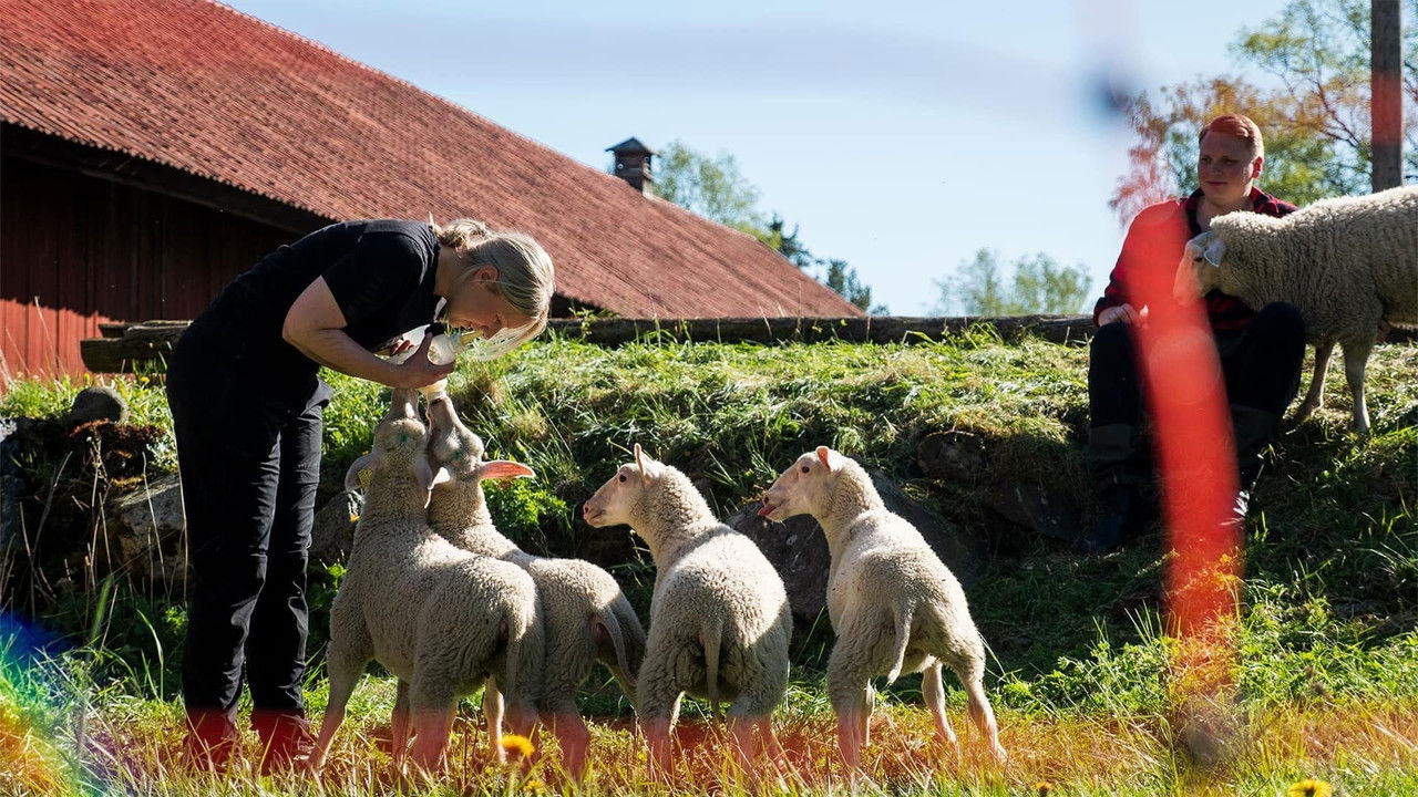 Svenska bönder backdrop